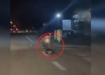 Καβάλα: Άνδρας σέρνει με το μηχανάκι του έναν ασβό