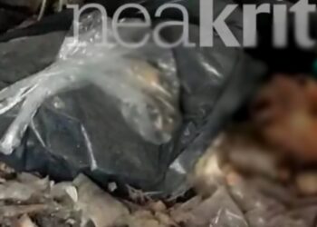 Ανατριχιαστικές εικόνες από οστεοφυλάκιο-χωματερή στην Κρήτη – Οστά δίπλα σε πλαστικά στεφάνια