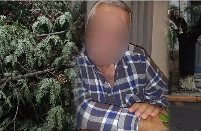 Σέρρες - Τραγικός θάνατος 69χρονου: «Ούρλιαζα στη γειτονιά για βοήθεια - Κλαδιά ήταν στην καρδιά του»