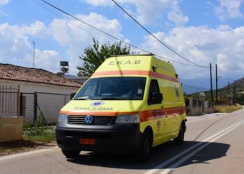 Alldaynews.gr Τραγωδία: Βγήκε να πετάξει τα σκουπίδια και την Σκότωσε αυτοκίνητο