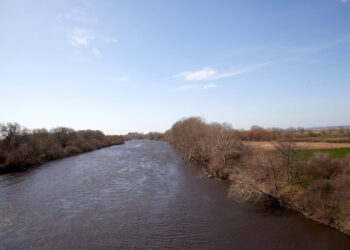 Έβρος: Τούρκος στρατοχωροφύλακας δίπλα στους 400 μετανάστες που βρέθηκαν εγκλωβισμένοι σε νησίδα