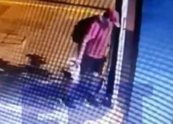 Φρίκη στη Θεσσαλονίκη: Άνδρας σκότωσε γατάκι – Το τσαλαπάτησε και έφυγε ανενόχλητος(Σκληρές Εικόνες)