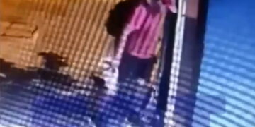 Alldaynews.gr Φρίκη στη Θεσσαλονίκη: Άνδρας σκότωσε γατάκι – Το τσαλαπάτησε και έφυγε ανενόχλητος(Σκληρές Εικόνες)