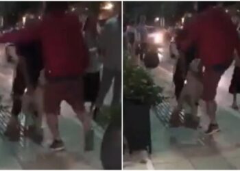 Alldaynews.gr Νέο εξοργιστικό περιστατικό: Άνδρας κλώτσησε σκύλο σε πεζοδρόμιο (video)