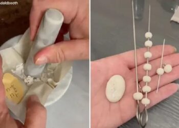 Φτιάχνει κοσμήματα από σπέρμα και είναι ανάρπαστα – «Χρειάζεται μόνο ένα κουταλάκι του γλυκού»