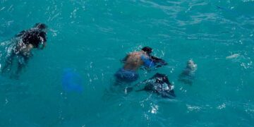 Alldaynews.gr Μαρτυρία: Οι αποκαλύψεις για τη γυναίκα που δέχτηκε επίθεση από τον άνδρα της στη Νίκαια