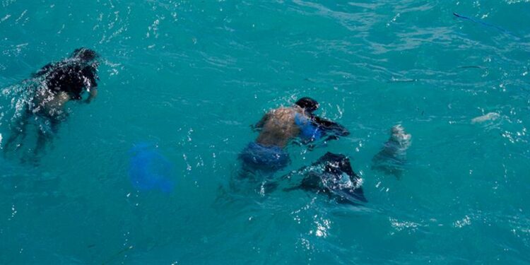 Alldaynews.gr Μαρτυρία: Οι αποκαλύψεις για τη γυναίκα που δέχτηκε επίθεση από τον άνδρα της στη Νίκαια