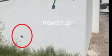 Αυτό είναι το Ξενοδοχείο στην Αφυτο με τις κρυφές κάμερες-“Πήρε Δρόμο” από το χωριό ο Ξενοδόχος