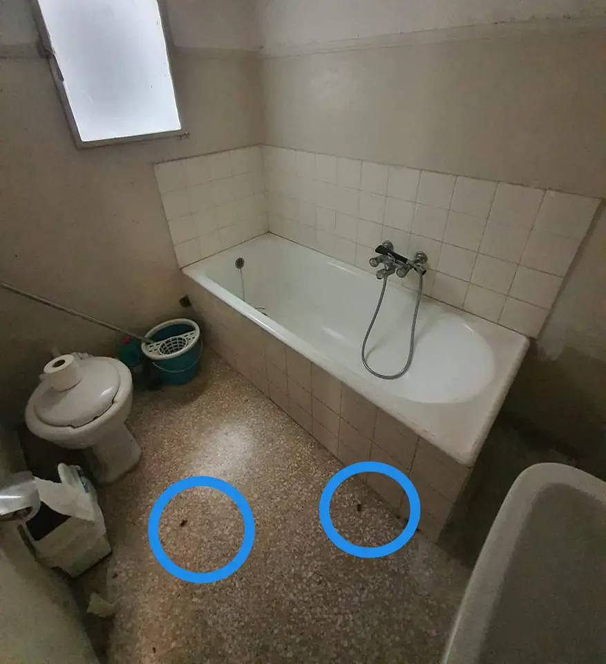 Η χειρότερη αγγελία για σπίτι στην Αθήνα που ανέβηκε online: Καλύτερα μη δείτε το μπάνιο