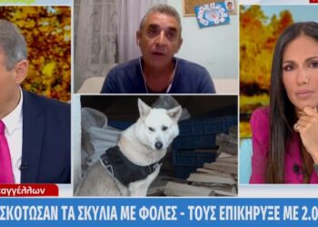 Κάρδιτσα: Σκότωσαν τα αγαπημένα του λυκόσκυλα με φόλες – «Τι θα γινόταν αν τις έπιανε το μικρό παιδί μου;»