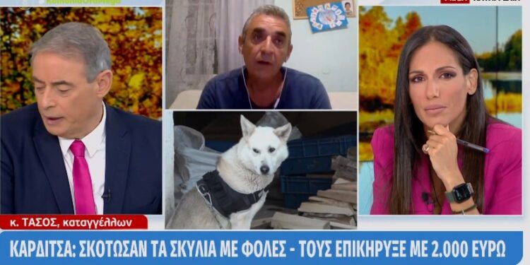 Alldaynews.gr Κάρδιτσα: Σκότωσαν τα αγαπημένα του λυκόσκυλα με φόλες – «Τι θα γινόταν αν τις έπιανε το μικρό παιδί μου;»