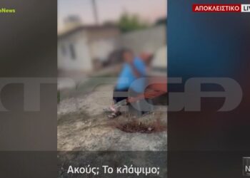 Νέα Φρίκη: Διασκεδάζει… βασανίζοντας σκύλο με ηλεκτροσόκ[video]