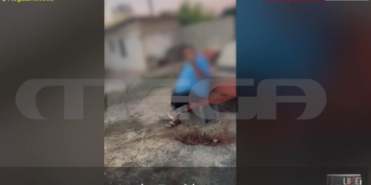 Νέα Φρίκη: Διασκεδάζει… βασανίζοντας σκύλο με ηλεκτροσόκ[video]