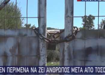 Πύργος: «Δεν περίμενα να ζει άνθρωπος μετά από τόσο ξύλο»[video]