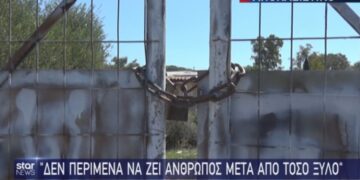 Πύργος: «Δεν περίμενα να ζει άνθρωπος μετά από τόσο ξύλο»[video]