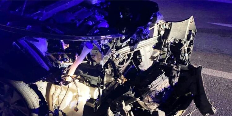 Alldaynews.gr Αγριογούρουνο έκανε σμπαράλια του αυτοκίνητο του δημάρχου Σπάρτης!