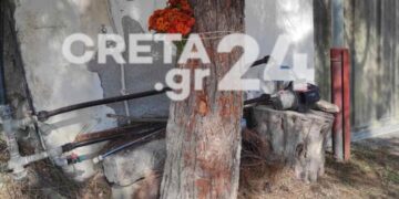 Νέα Τραγωδία:36χρονος καρφώθηκε σε δέντρο-Λουλούδια στο σημείο που «έσβησε» ο Διονύσης[Φωτογραφίες]