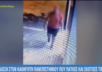 Θεσσαλονίκη: Ποινική δίωξη στον διδάκτωρ του ΑΠΘ που σκότωσε το γατάκι