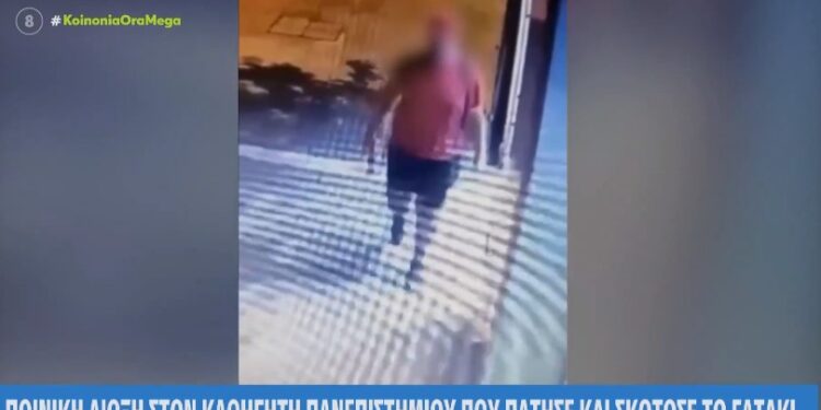 Alldaynews.gr Θεσσαλονίκη: Ποινική δίωξη στον διδάκτωρ του ΑΠΘ που σκότωσε το γατάκι