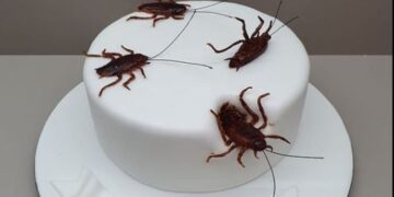 Στην Κόρινθο ένας ζαχαροπλάστης κάνει θραύση με την «τούρτα με γέμιση κατσαρίδες»