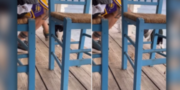 Alldaynews.gr Απόφαση-ντροπή για τον 30χρονο που κλώτσησε το γατάκι στη θάλασσα: «Αθώοι οι κάφροι και με απόφαση της Δικαιοσύνης» (video)