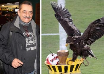 Αντώνης Καφετζόπουλος: Ενοχλημένος για τον αετό «Οδυσσέα» της ΑΕΚ-«Αυτή η χοντροβλαχομ…. με τον ζωντανό αετό πρέπει να σταματήσει τώρα!