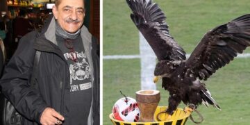 Alldaynews.gr Αντώνης Καφετζόπουλος: Ενοχλημένος για τον αετό «Οδυσσέα» της ΑΕΚ-«Αυτή η χοντροβλαχομ…. με τον ζωντανό αετό πρέπει να σταματήσει τώρα!