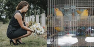 «Ο σύντροφός μου πέθανε, η γυναίκα του κληρονόμησε σπίτι και αμάξι και σ’ εμένα άφησε 45 καναρίνια»