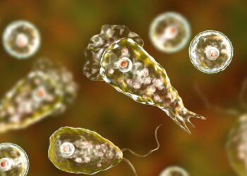 Είναι Τραγικό: Ανήλικος πέθανε από σπάνια αμοιβάδα που «τρώει» τον εγκέφαλο