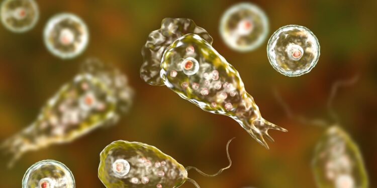 Alldaynews.gr Είναι Τραγικό: Ανήλικος πέθανε από σπάνια αμοιβάδα που «τρώει» τον εγκέφαλο