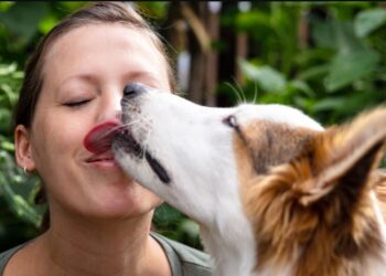 Σκύλος: Γιατί μας γλείφει – Πότε μας προειδοποιεί για προβλήματα υγείας