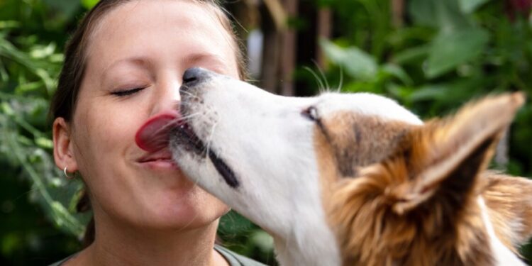 Alldaynews.gr Σκύλος: Γιατί μας γλείφει – Πότε μας προειδοποιεί για προβλήματα υγείας