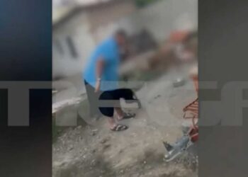 Στο αυτόφωρο και 15.600 ευρώ πρόστιμο στον ιδιοκτήτη του σκυλιού που το βασάνιζε με ηλεκτροσόκ