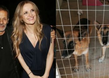 Σταύρος Ξαρχάκος: Δεκάδες αντιδράσεις γιατί άφησε τα γέρικα σκυλιά του σε καταφύγιο – Τι απαντά η σύζυγός του