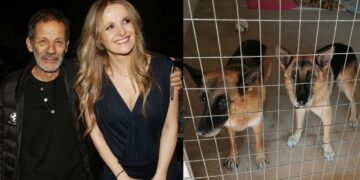 Alldaynews.gr Σταύρος Ξαρχάκος: Δεκάδες αντιδράσεις γιατί άφησε τα γέρικα σκυλιά του σε καταφύγιο – Τι απαντά η σύζυγός του