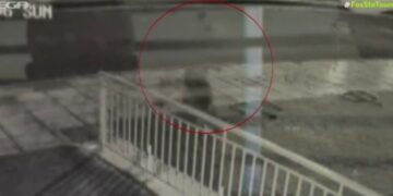 Alldaynews.gr Παλαιό Φάληρο: Νέο βίντεο ντοκουμέντο του «βιαστή με το τατουάζ»