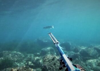 Απείλησε την πεθερά του με… ψαροντούφεκο, αλλά… τον συγχώρησε!