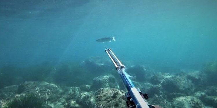 Απείλησε την πεθερά του με… ψαροντούφεκο, αλλά… τον συγχώρησε!