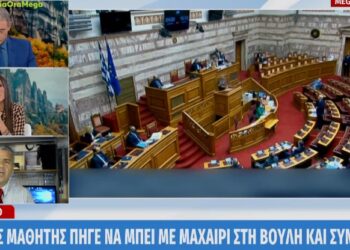 Βουλή: 14χρονος μαθητής πήγε να μπει με μαχαίρι και συνελήφθη