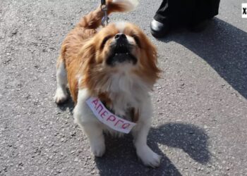 Ξάνθη-Απεργία: Ο πιο Τσαμπουκάς της πορείας![photos]