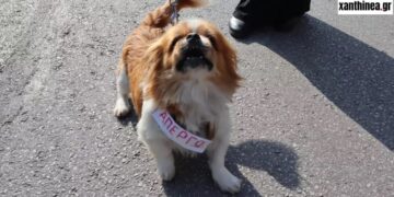 Ξάνθη-Απεργία: Ο πιο Τσαμπουκάς της πορείας![photos]