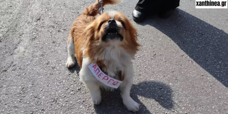 Ξάνθη-Απεργία: Ο πιο Τσαμπουκάς της πορείας![photos]