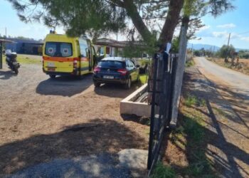 γυναικοκτονία