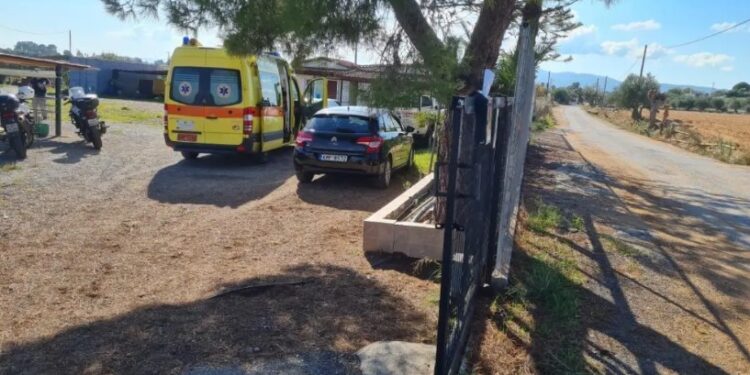 γυναικοκτονία