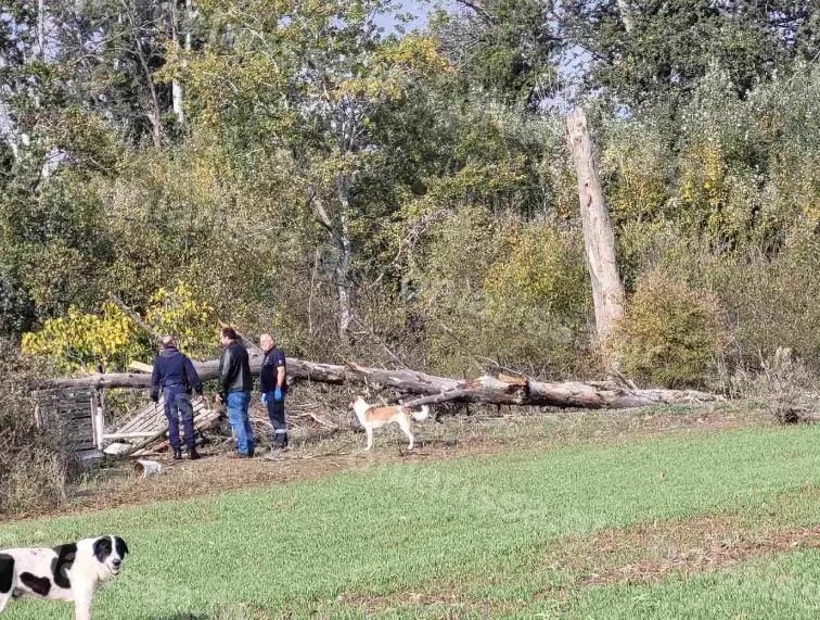 Πριν Λίγο-Τραγωδία: Δέντρο καταπλάκωσε και σκότωσε γυναίκα![Φωτογραφίες]