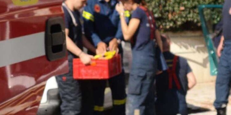 Alldaynews.gr Πριν Λίγο-Τραγική Εικόνα: Πήγε να βοηθήσει τον φίλο του, έσπασε ο γρύλος και σκοτώθηκε όταν τον καταπλάκωσε ΙΧ