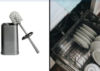 Η Μητέρα που αηδίασε όλο το διαδίκτυο: Πλένει το βουρτσάκι της τουαλέτας στο πλυντήριο πιάτων