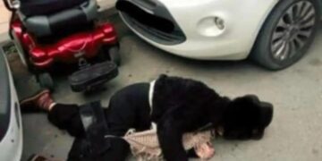 Alldaynews.gr Ντροπή: «Τελείωνε μ@λ@κ@» φώναζαν σε ΑμεΑ που έπεσε απο αμαξίδιο (φωτο)