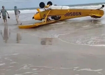 Μικρό αεροπλάνο έπεσε σε παραλία: Ζωντανός ο πιλότος μπροστά στους έκπληκτους περαστικούς (video)