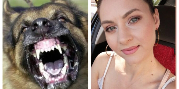 Alldaynews.gr Καλαμάτα: Κατασπάραξαν τα σκυλιά 34χρονη μητέρα και δυο μήνες μετά έχει μείνει άνεργη και οι πληγές παραμένουν ανοιχτές